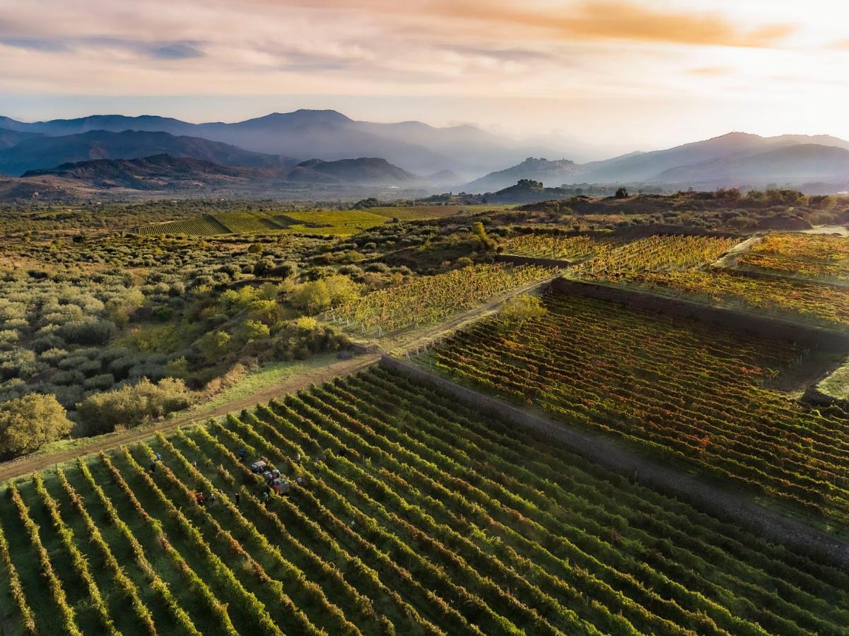 Dimora Cottanera Ξενοδοχείο Castiglione De Sicilia Εξωτερικό φωτογραφία